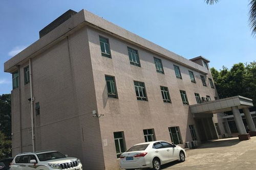 今日新聞 技術(shù)精湛，專(zhuān)業(yè)護(hù)航——聚焦十堰、襄陽(yáng)、宜昌三地房屋建筑檢測(cè)與鑒定