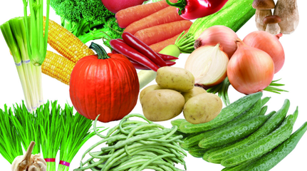 5批次常見蔬菜檢出問題，沃爾瑪遭曝光，花卉類商品亦需關(guān)注